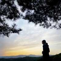 광교산 형제봉
