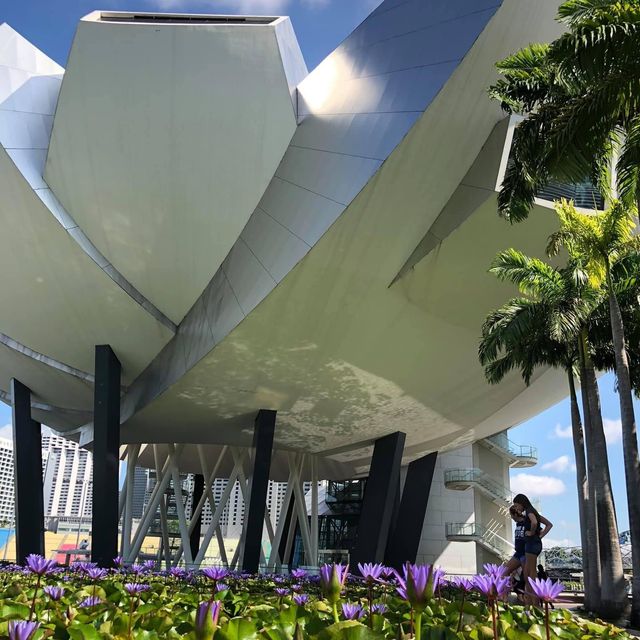 新加坡🇸🇬最具代表性建築❤️藝術科學博物館
