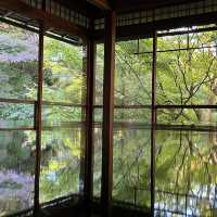【インスタ映え】京都　瑠璃光院