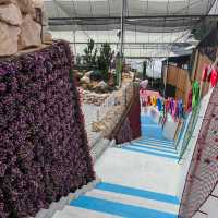 Agro Market @Cameron Highlands