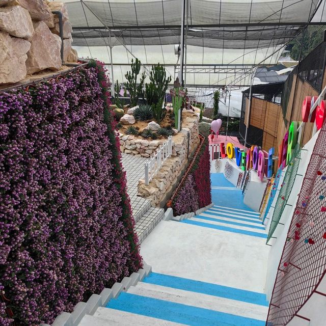 Agro Market @Cameron Highlands