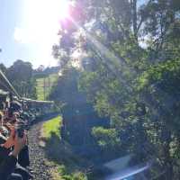 Awesome steam engine train experience 