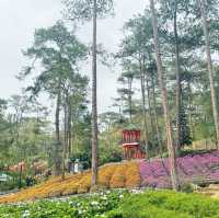 Exploring Baguio’s Botanical Wonders