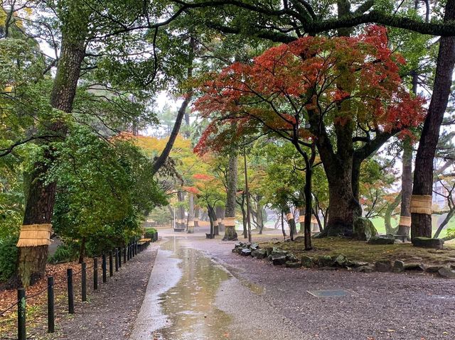 ปราสาทโอคะซะกิ (Okazaki Castle)🏯