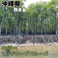 【沖縄県/西表島】仲間川マングローブクルーズ