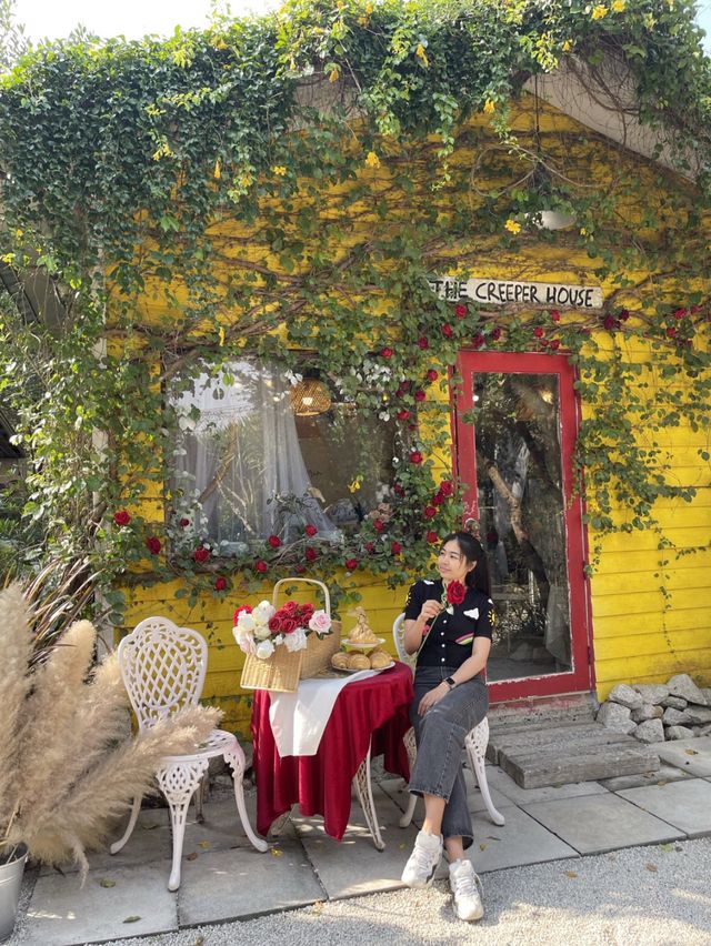 คาเฟ่ฮิตระยองที่ถ่ายรูปเยอะมากกก📸