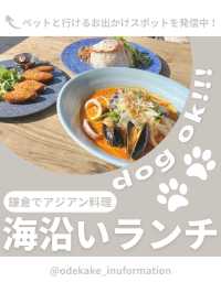 【鎌倉】わんこと行ける海沿いランチ🌴