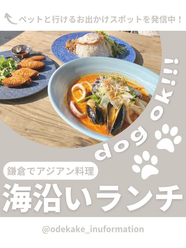 【鎌倉】わんこと行ける海沿いランチ🌴