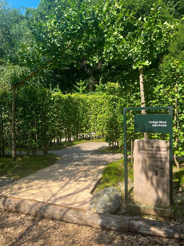 2번째 방문한 국내 최대 규모 수목원 : 춘천 제이드가든