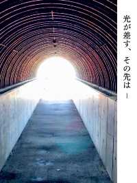 【積丹/島武意海岸】北海道の絶景ログVol.4