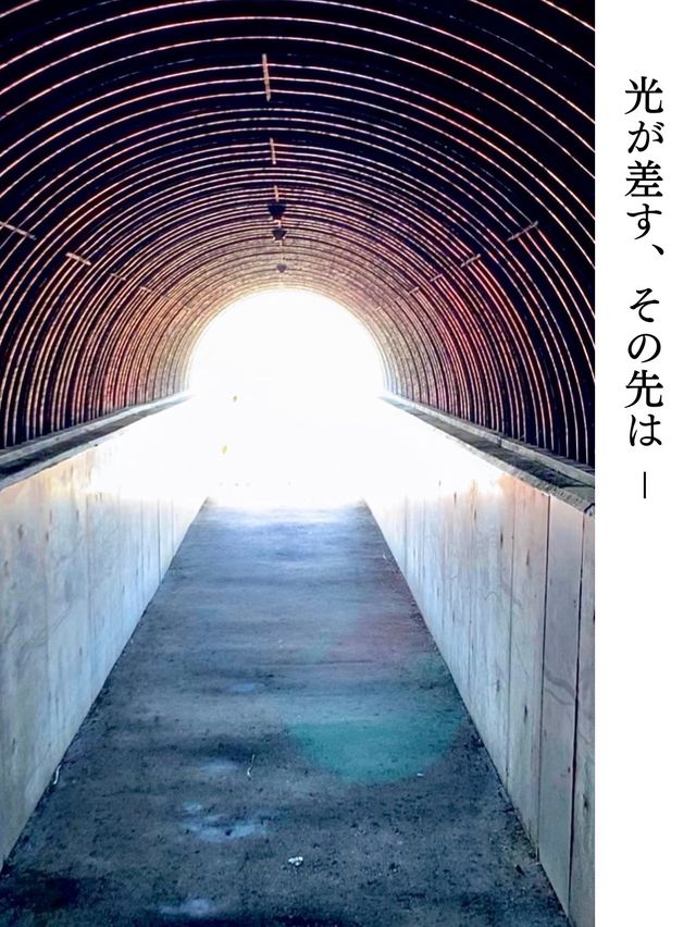 【積丹/島武意海岸】北海道の絶景ログVol.4