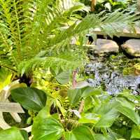 【静岡】熱川バナナワニ園　のんびり🐊や熱帯の植物が楽しめる
