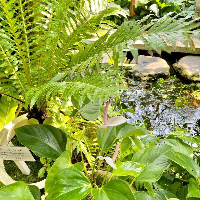 【静岡】熱川バナナワニ園　のんびり🐊や熱帯の植物が楽しめる