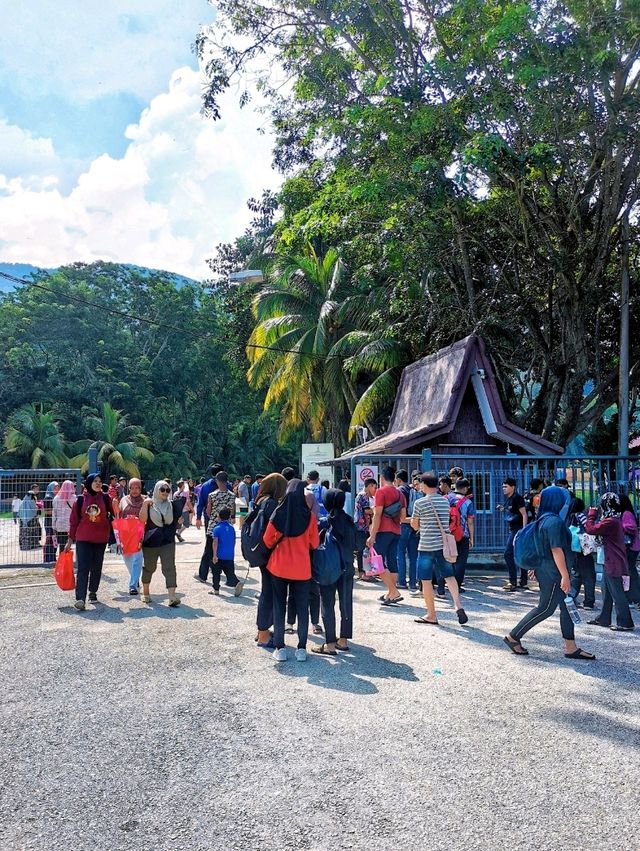 Gunung Ledang Waterfall exploration!