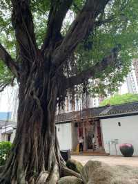 荃灣三棟屋博物館