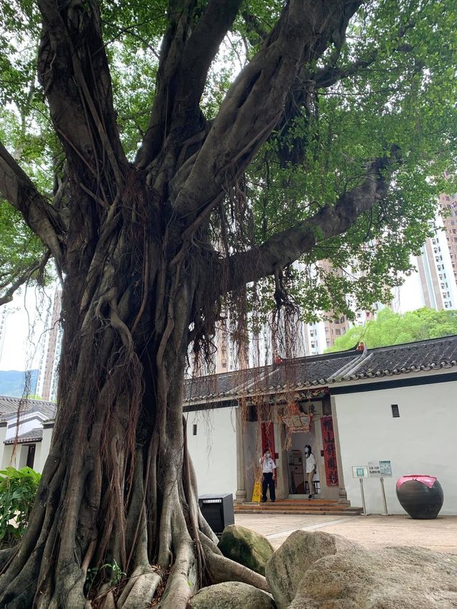 荃灣三棟屋博物館