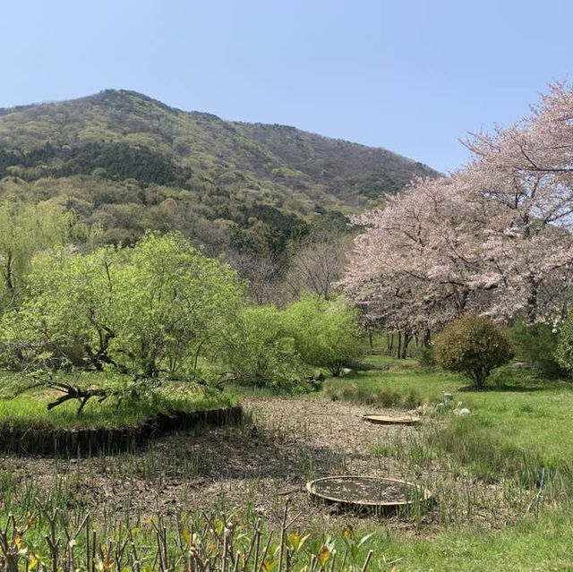 사진 작가들이 뽑은 국내의 아름다운 사진 명소, 진해내수면환경생태공원