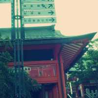 The Senbon Torii (1,000 torii gates)