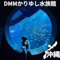 🇯🇵沖縄 DMMかりゆし水族館