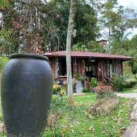 Beautiful resort in the nature, Fifty4Fern