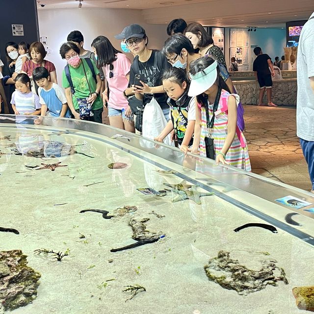 如果沒來過美麗海水族館就等於沒來過沖繩