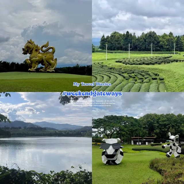 Singha Park Chiang Rai 