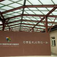 兒童玩具圖書館🪀 色彩繽紛小孩子世界