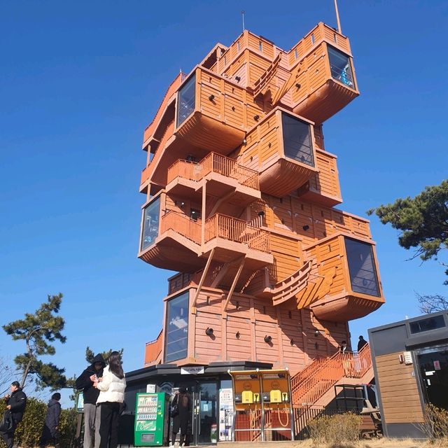 국내 최고 높이를 자랑하는 목포 해상케이블카🚡