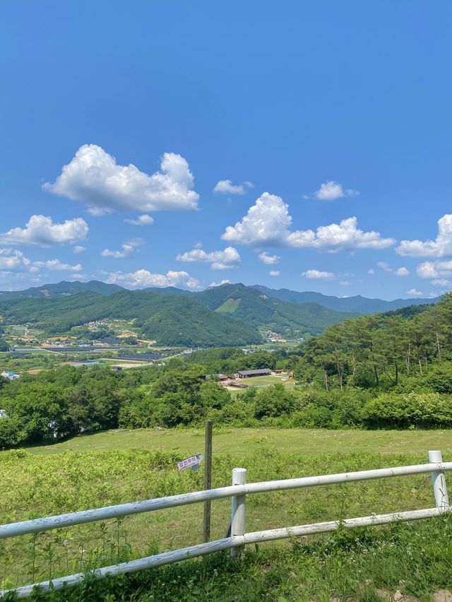 스위스같은 웅장함을 느끼고 싶을땐 해피초원목장🐑🌳