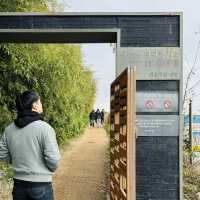 속초 나만 알고싶은 둘레길코스, 바다향기로