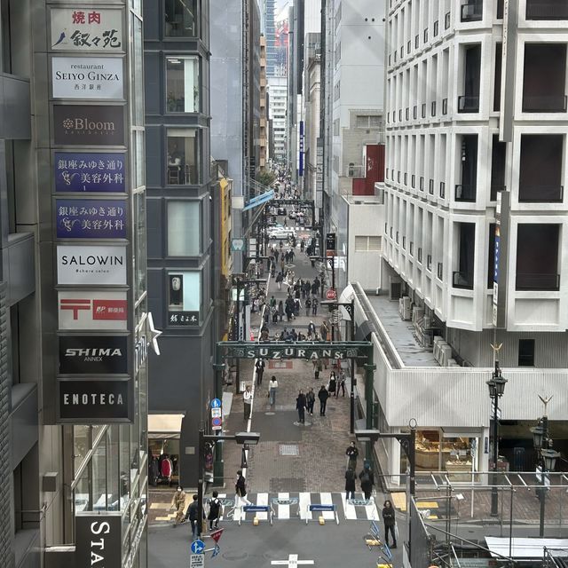 도쿄 긴자거리 🚦 일요일에는 차없는 거리🚦