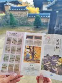 늦가을 즐기기 좋은 밀양여행지🍂