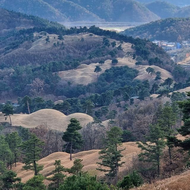 세계문화유산으로 등재된 대가야 고분군 보러가자.