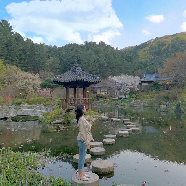 산책 하고 싶을 땐 아침고요수목원! 