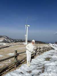 눈내리면 가볼만한곳 ❄️❄️