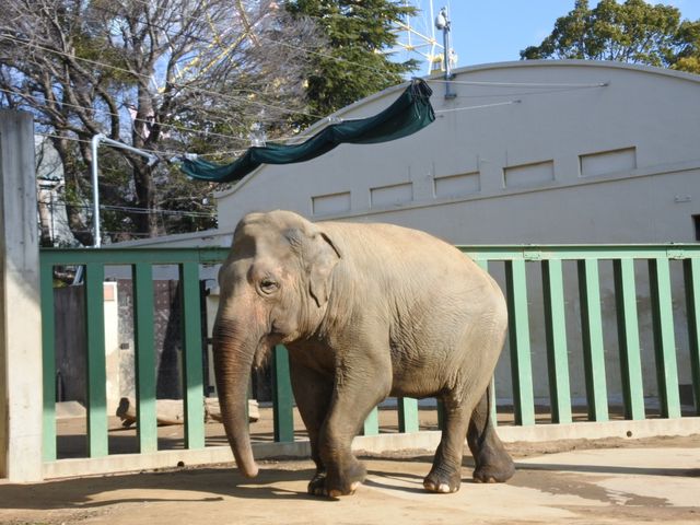 【神戸市立王子動物園】上野動物園並みの大充実