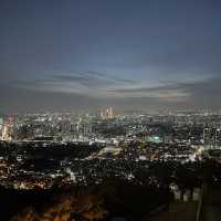 Namsan Seoul Tower