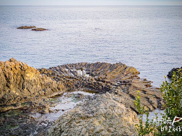 경주도 동해인걸 알고있나요!? 경주 감포 여행 경주도 동해인걸 알고있나요!? 경주 감포 여행