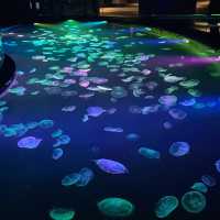 簡而精的墨田水族館