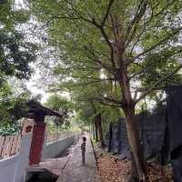 วัดเพลง (ที่เคยร้าง) บางกรวย จ.นนทบุรี