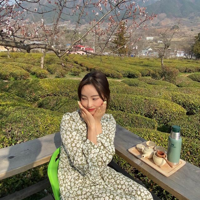 푸릇푸릇한 녹차밭 뷰를 볼 수 있는  하동매암제다원🍃🍵 