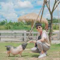 On Ground Pattaya  คาเฟ่ลับในสวน 