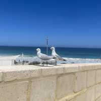 5 beaches you MUST visit in Perth 🇦🇺