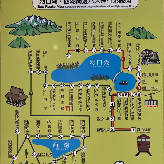 河口湖/富士急 （新宿出發）