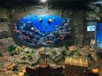 ท่องเที่ยวกับโลกใต้ท้องทะเล Underwater World ญาจาง