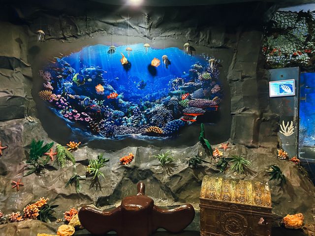 ท่องเที่ยวกับโลกใต้ท้องทะเล Underwater World ญาจาง