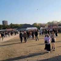 【九洲福岡遊】人在福岡之4月櫻花祭🌸