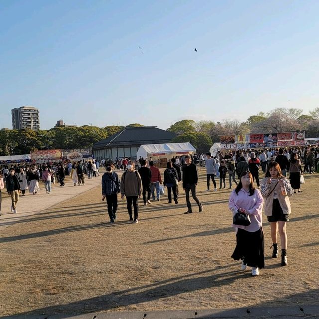 【九洲福岡遊】人在福岡之4月櫻花祭🌸