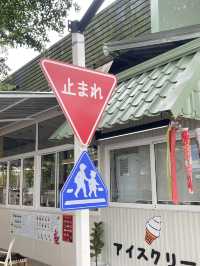 CATTERY Cafe 