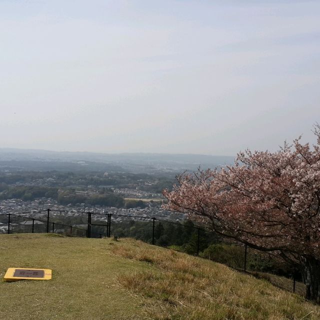 若草山⛰️多重目景致